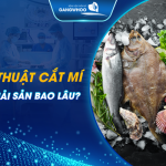 Cắt mí kiêng hải sản bao lâu
